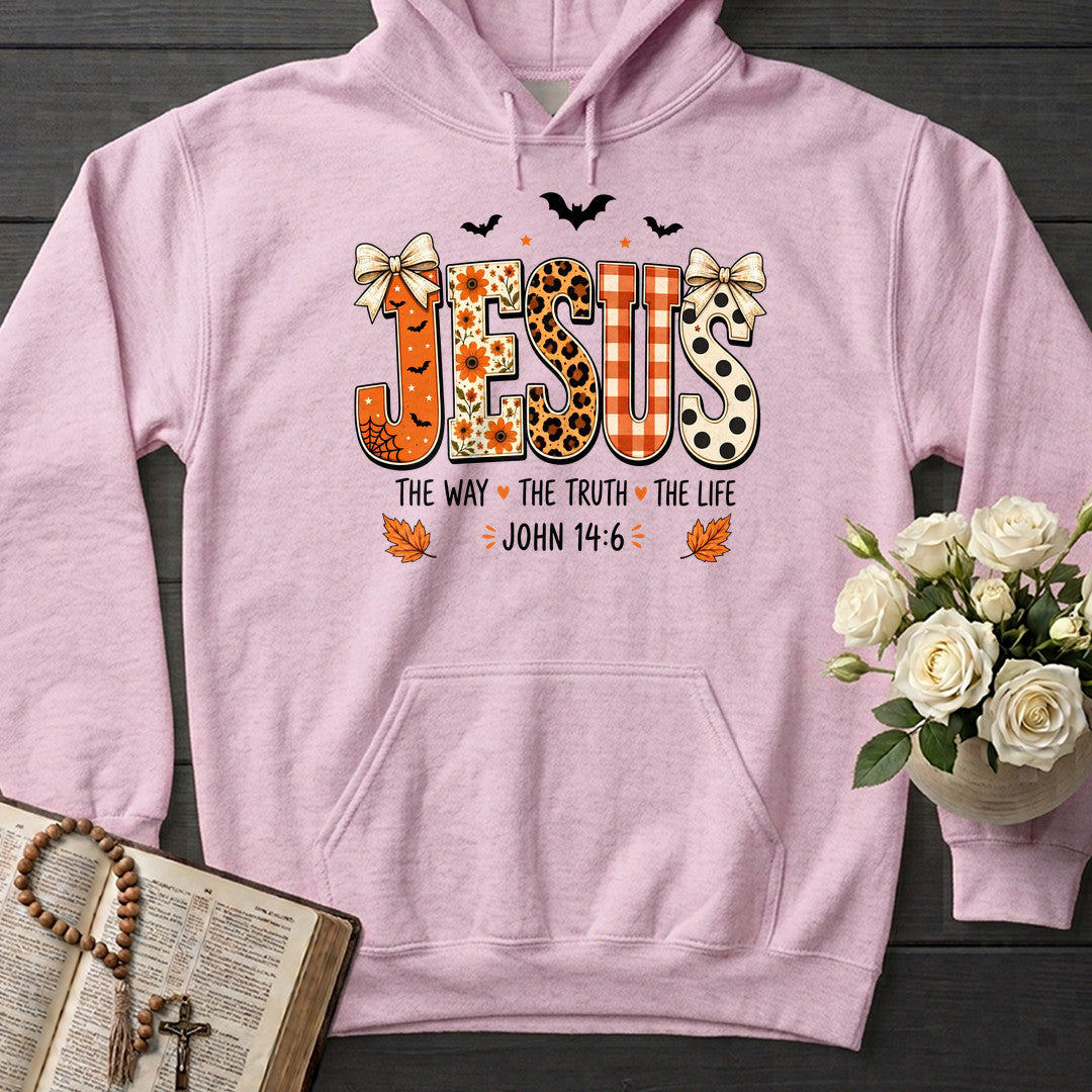 Jesus The Way The Truth The Life John 14.6 15