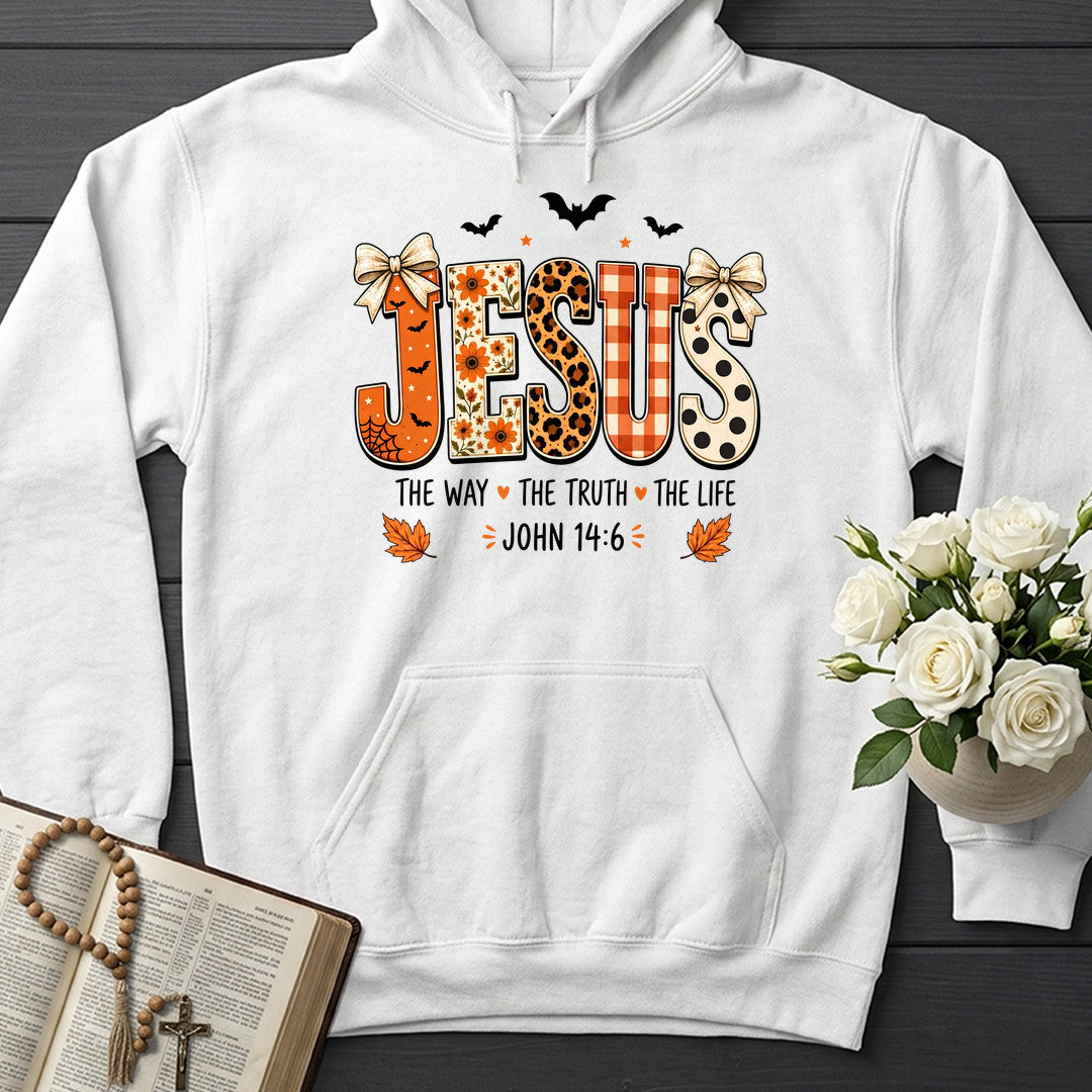Jesus The Way The Truth The Life John 14.6 15
