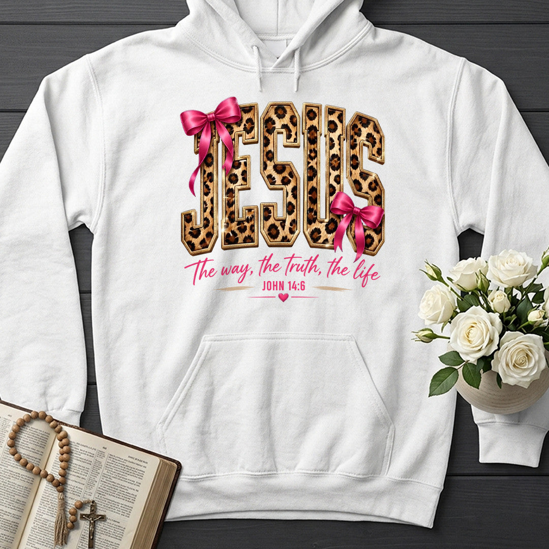 Jesus The Way The Truth The Life John 14.6 16