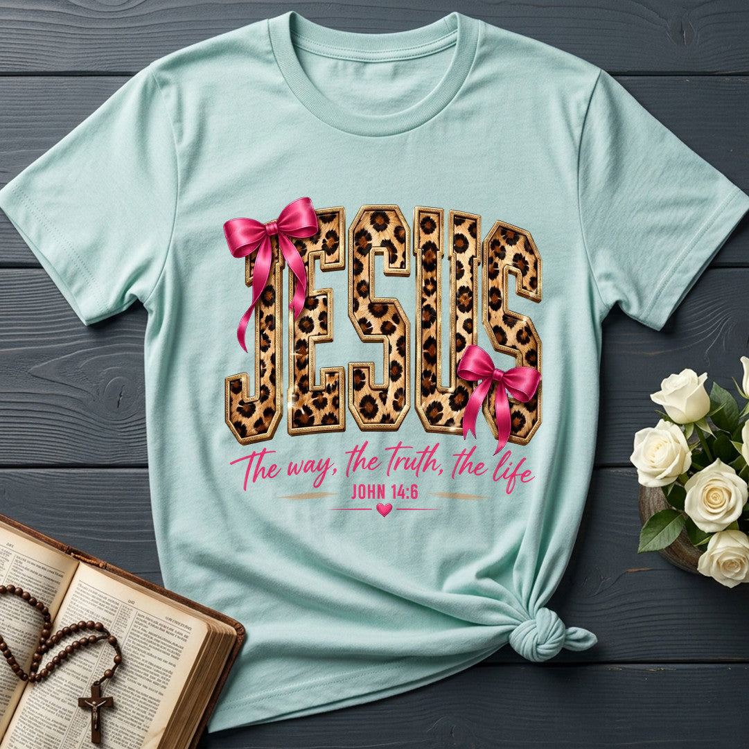 Jesus The Way The Truth The Life John 14.6 16