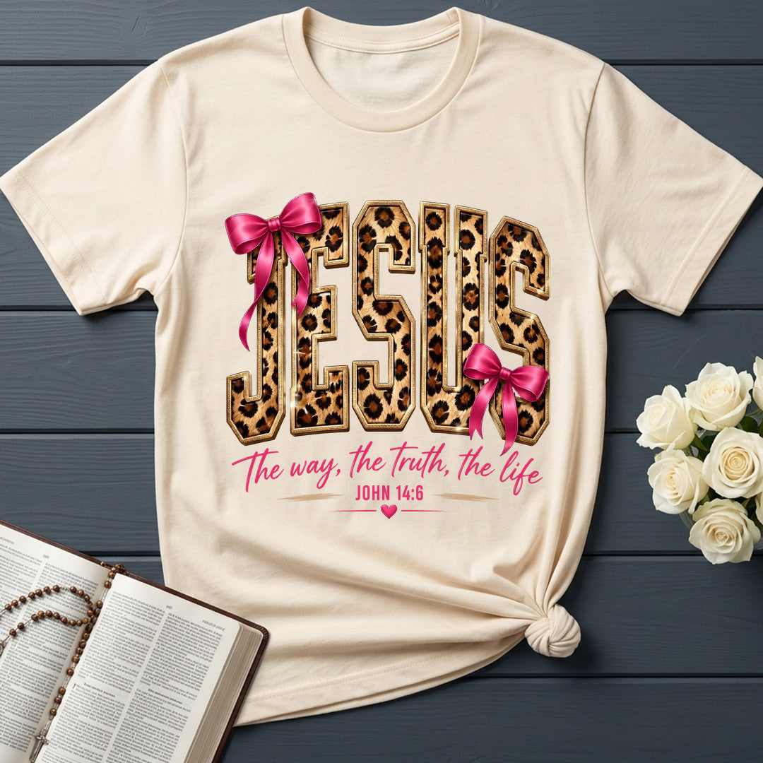 Jesus The Way The Truth The Life John 14.6 16