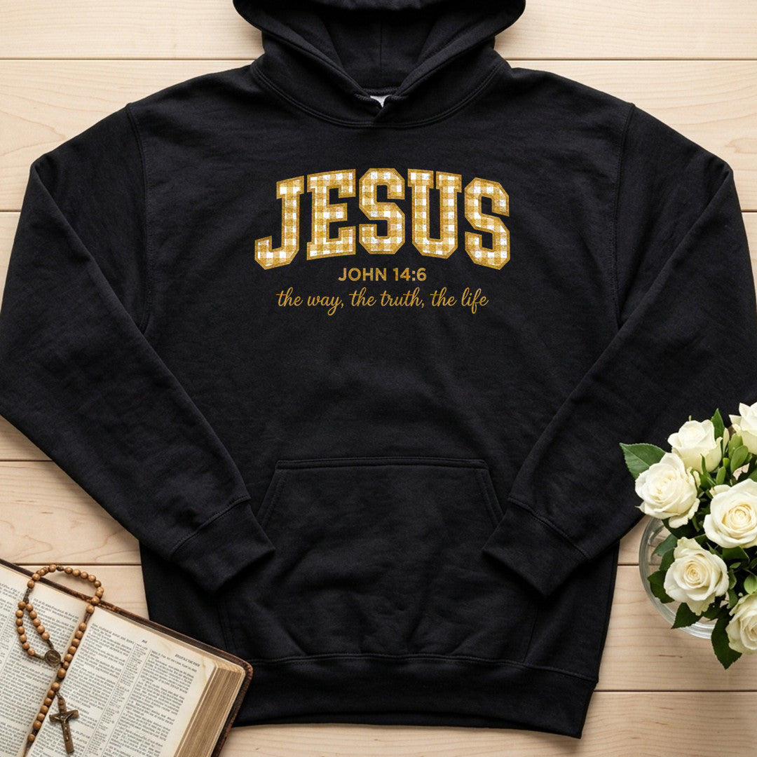 Jesus The Way The Truth The Life John 14.6 19
