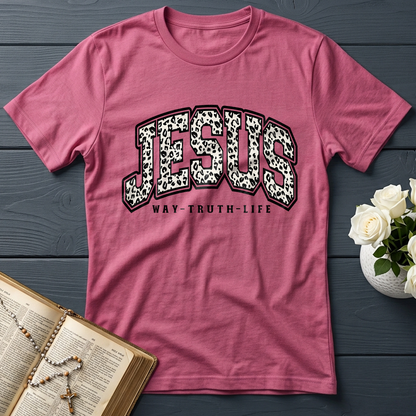 Jesus Way Truth Life 02