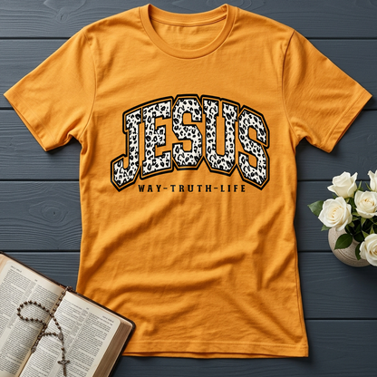 Jesus Way Truth Life 02
