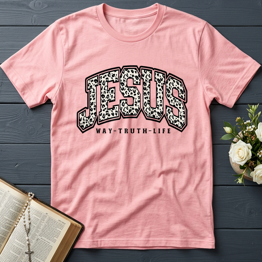 Jesus Way Truth Life 02