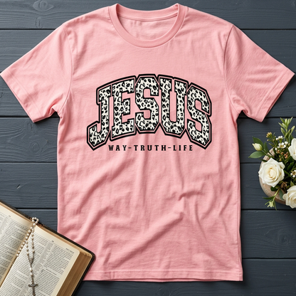 Jesus Way Truth Life 02