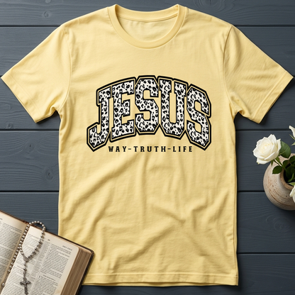 Jesus Way Truth Life 02