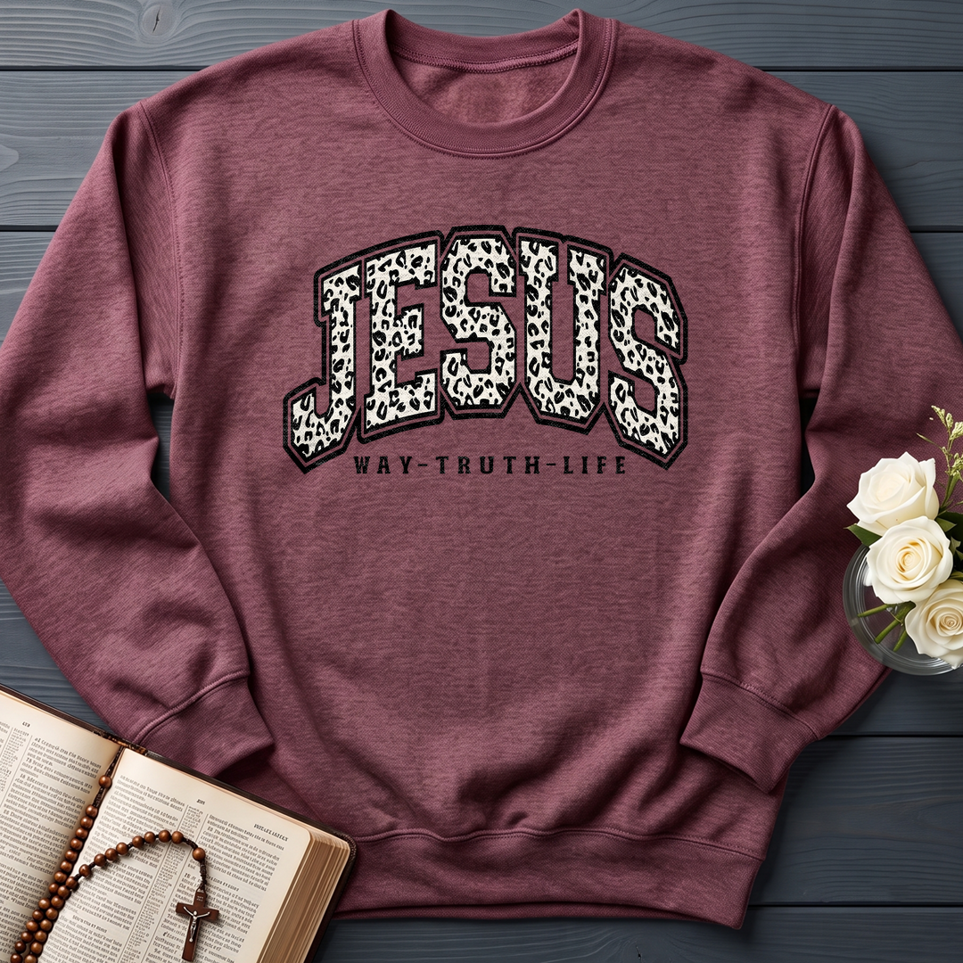 Jesus Way Truth Life 02