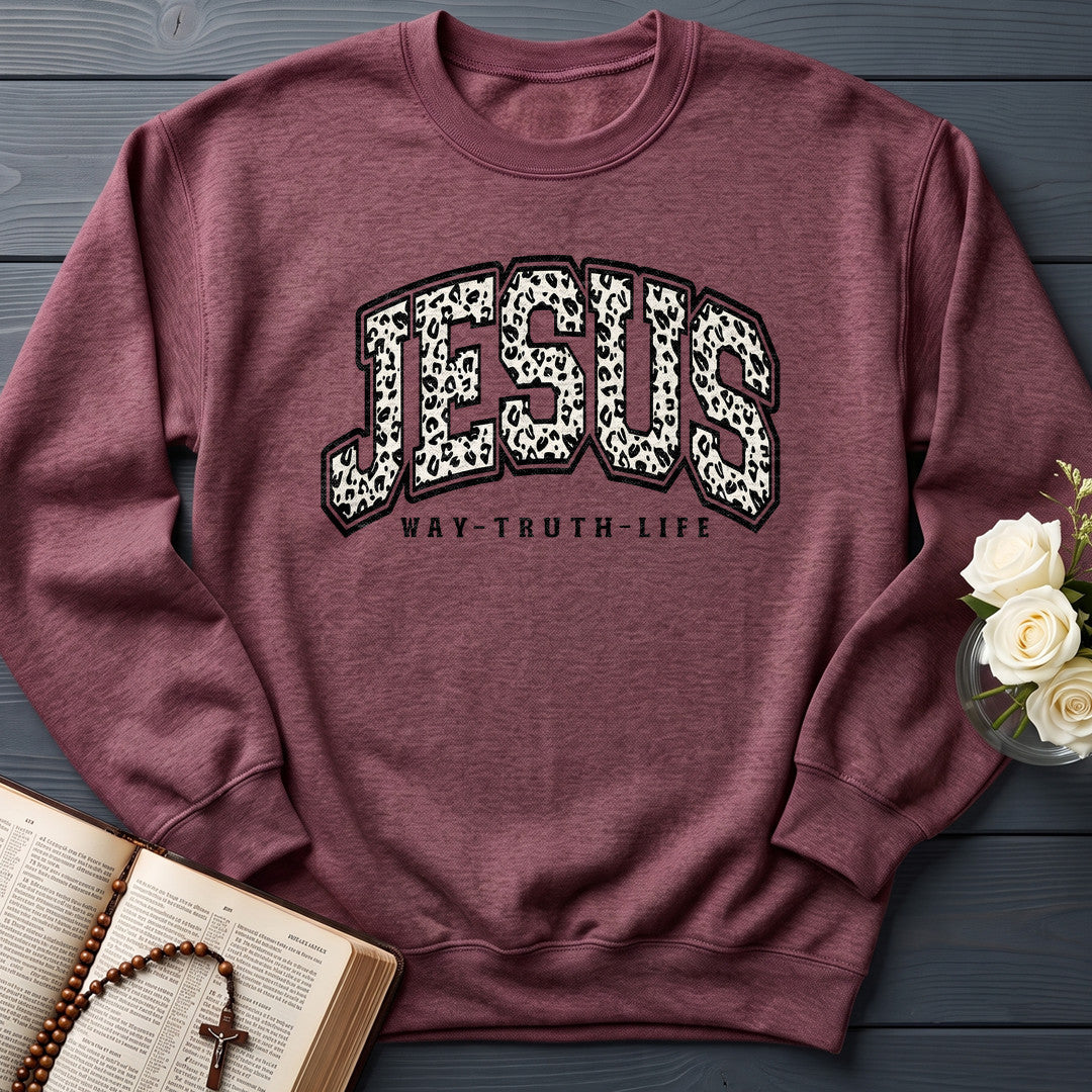 Jesus Way Truth Life 02