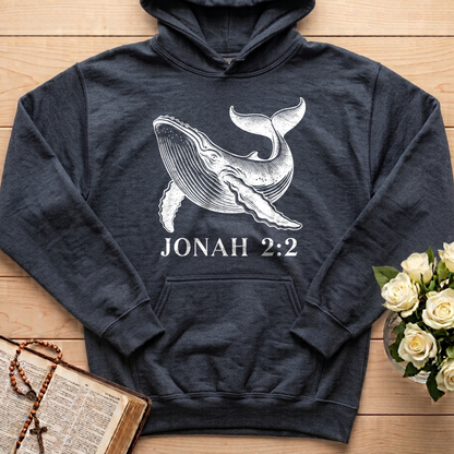 Jonah 2.2 01