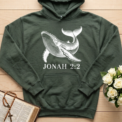 Jonah 2.2 01