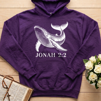 Jonah 2.2 01