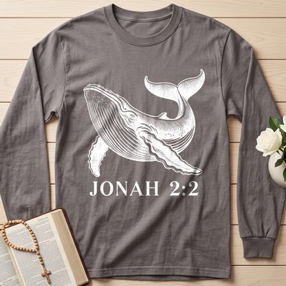 Jonah 2.2 01