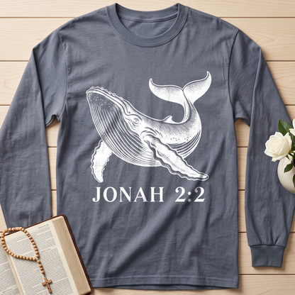 Jonah 2.2 01