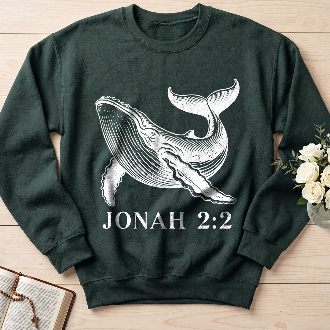 Jonah 2.2 01