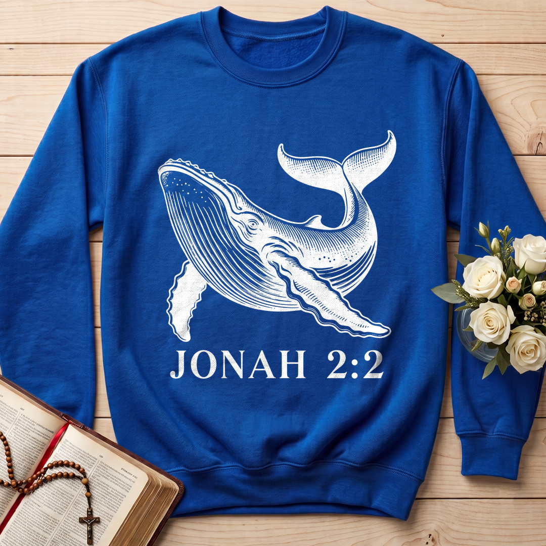 Jonah 2.2 01