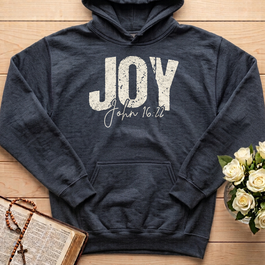 Joy John 16.22 01
