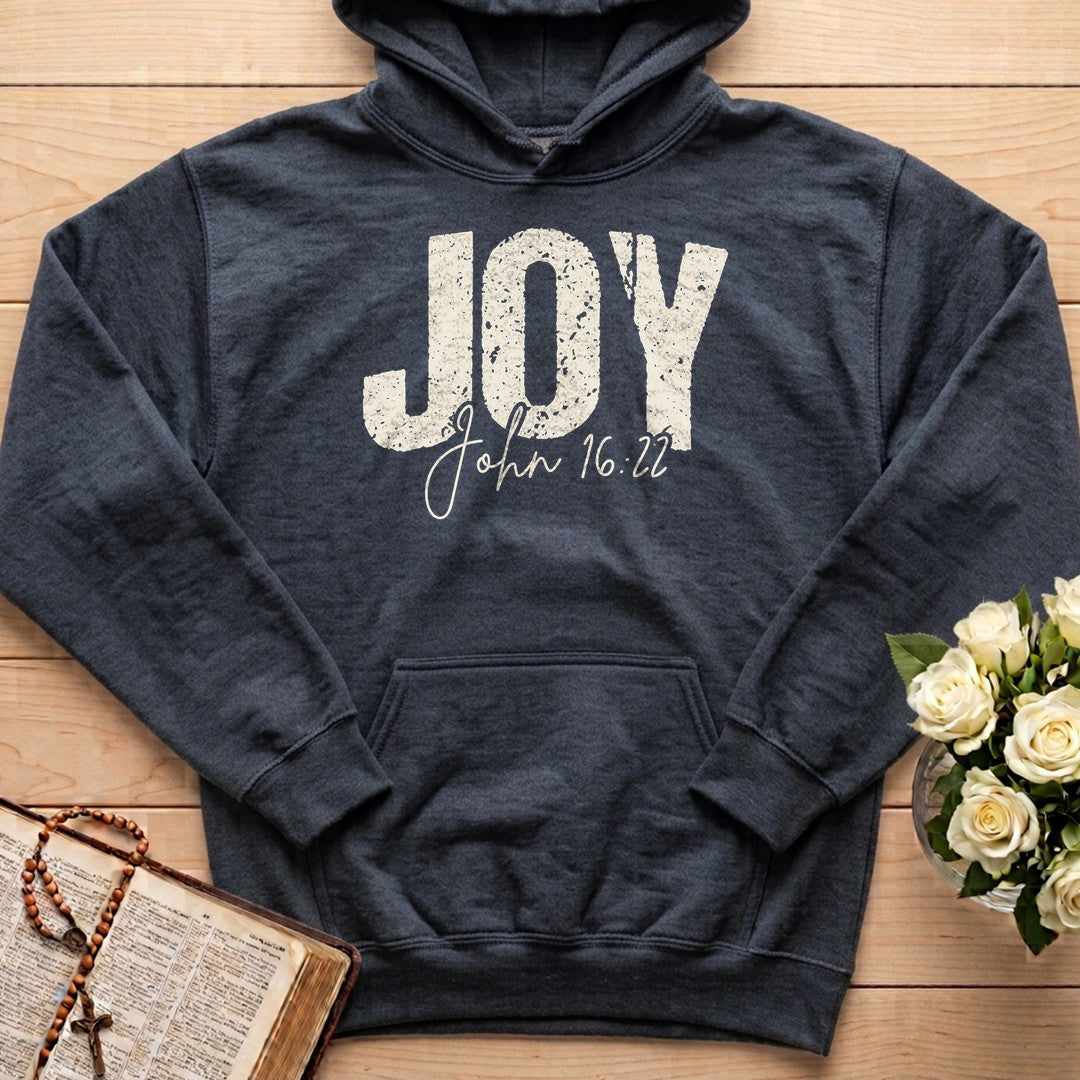Joy John 16.22 01