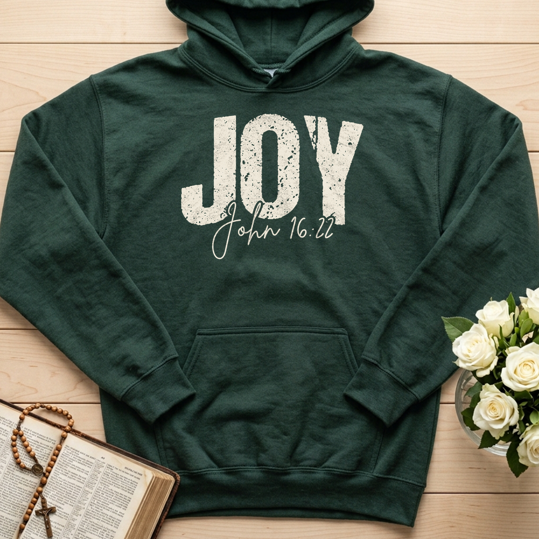 Joy John 16.22 01