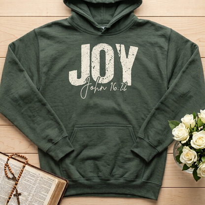 Joy John 16.22 01