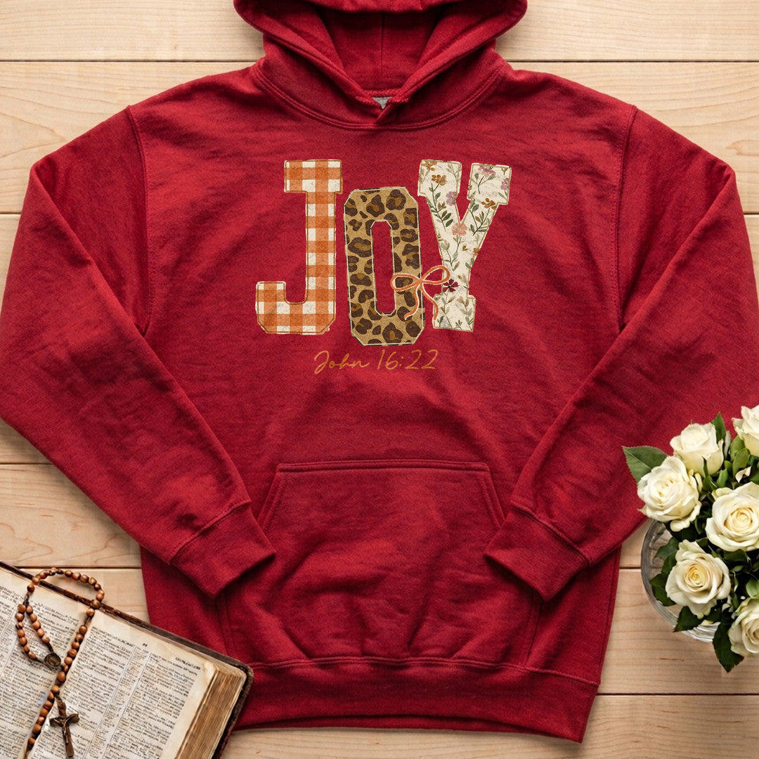 Joy John 16.22 02