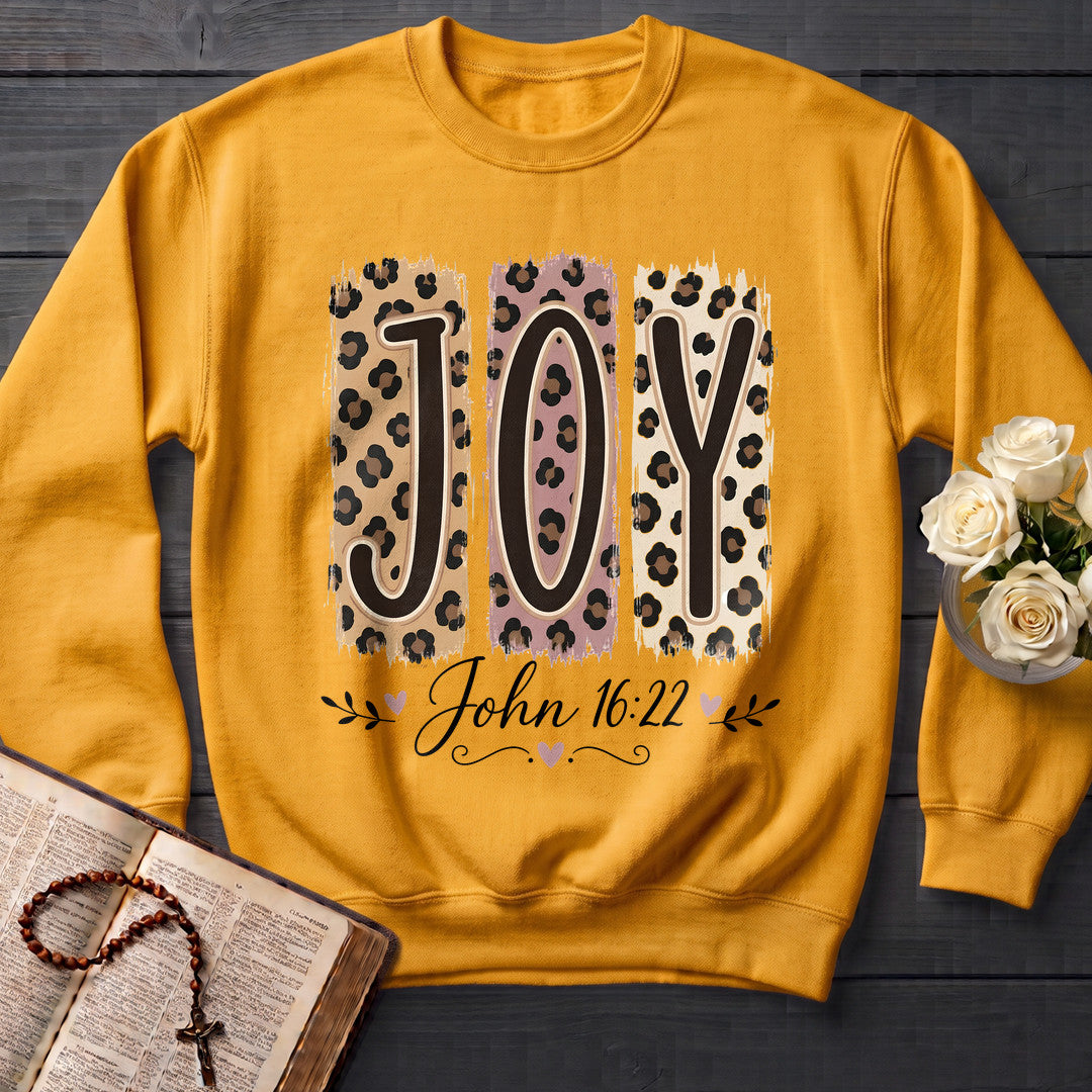 Joy John 16.22 04