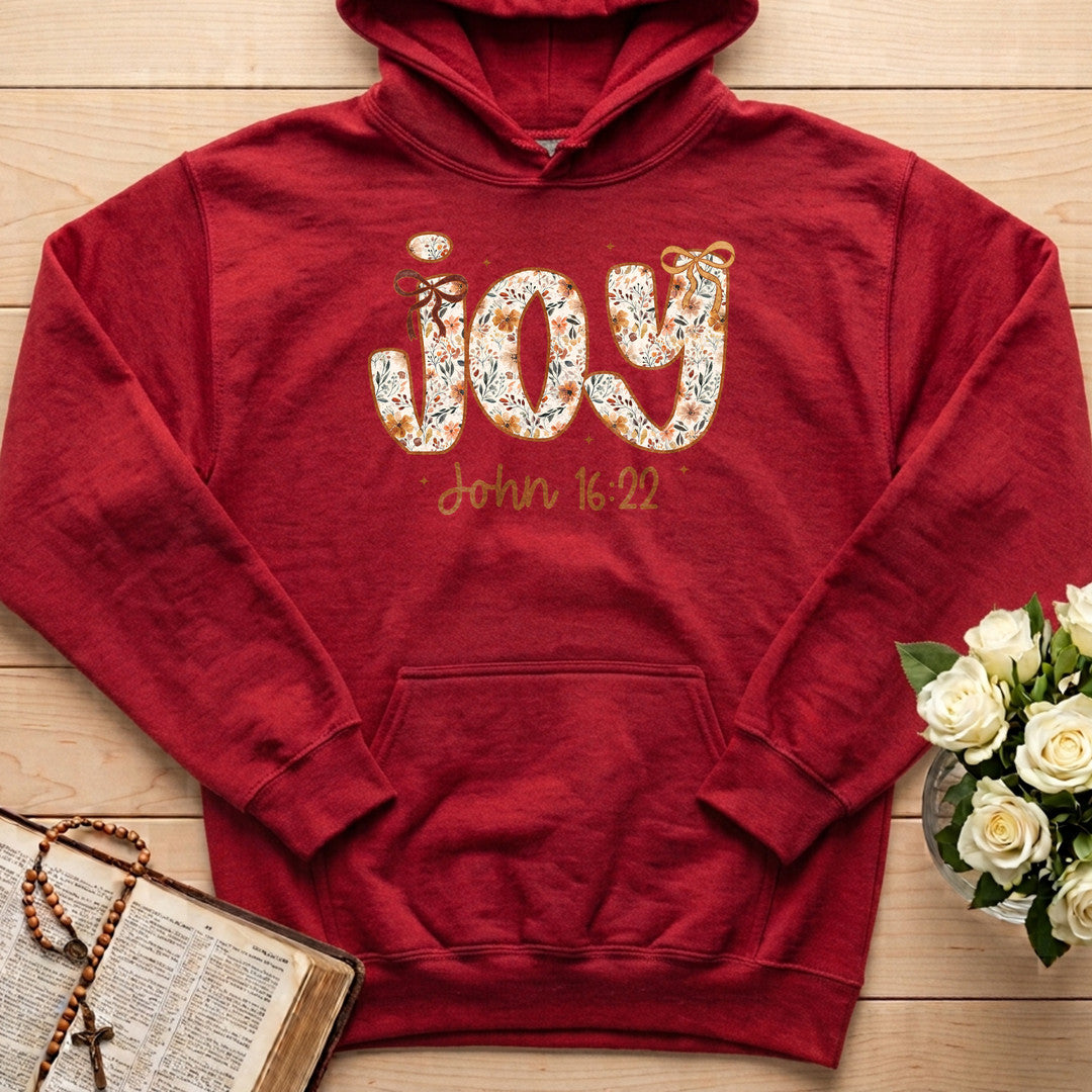 Joy John 16.22 05