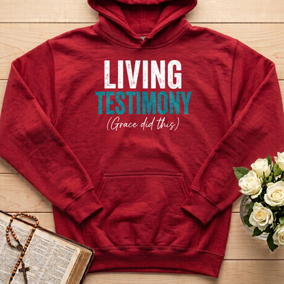 Living Testimony Grace Did This 01