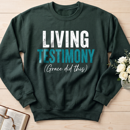 Living Testimony Grace Did This 01