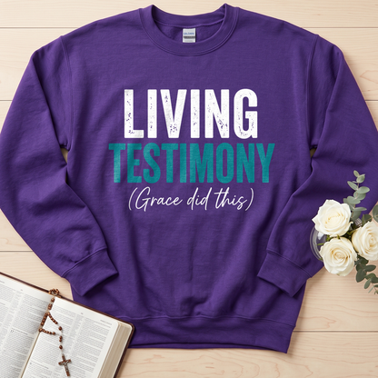 Living Testimony Grace Did This 01