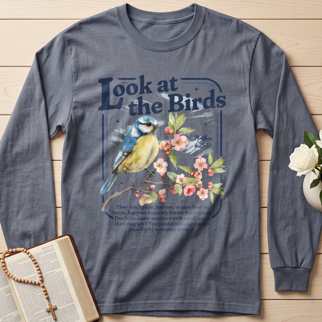 Look At The Birds Matthew 6.25-34 01