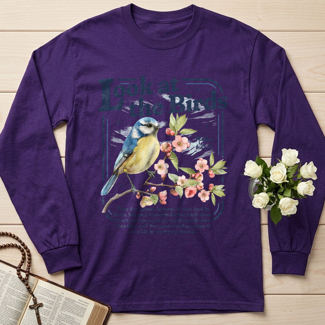 Look At The Birds Matthew 6.25-34 01