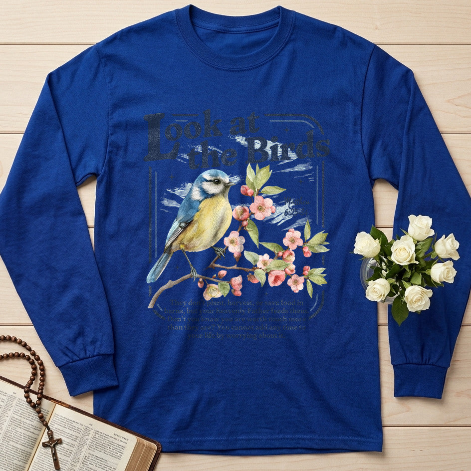 Look At The Birds Matthew 6.25-34 01
