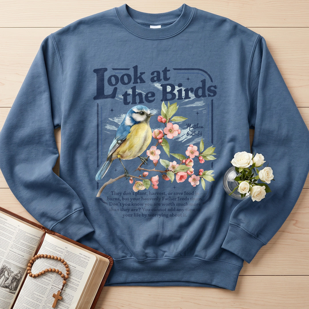 Look At The Birds Matthew 6.25-34 01