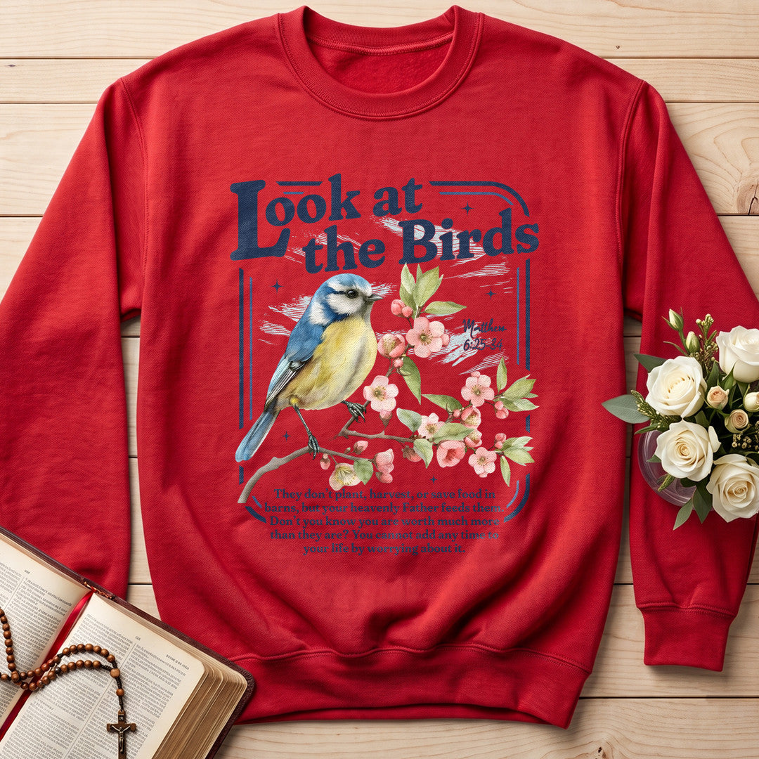 Look At The Birds Matthew 6.25-34 01