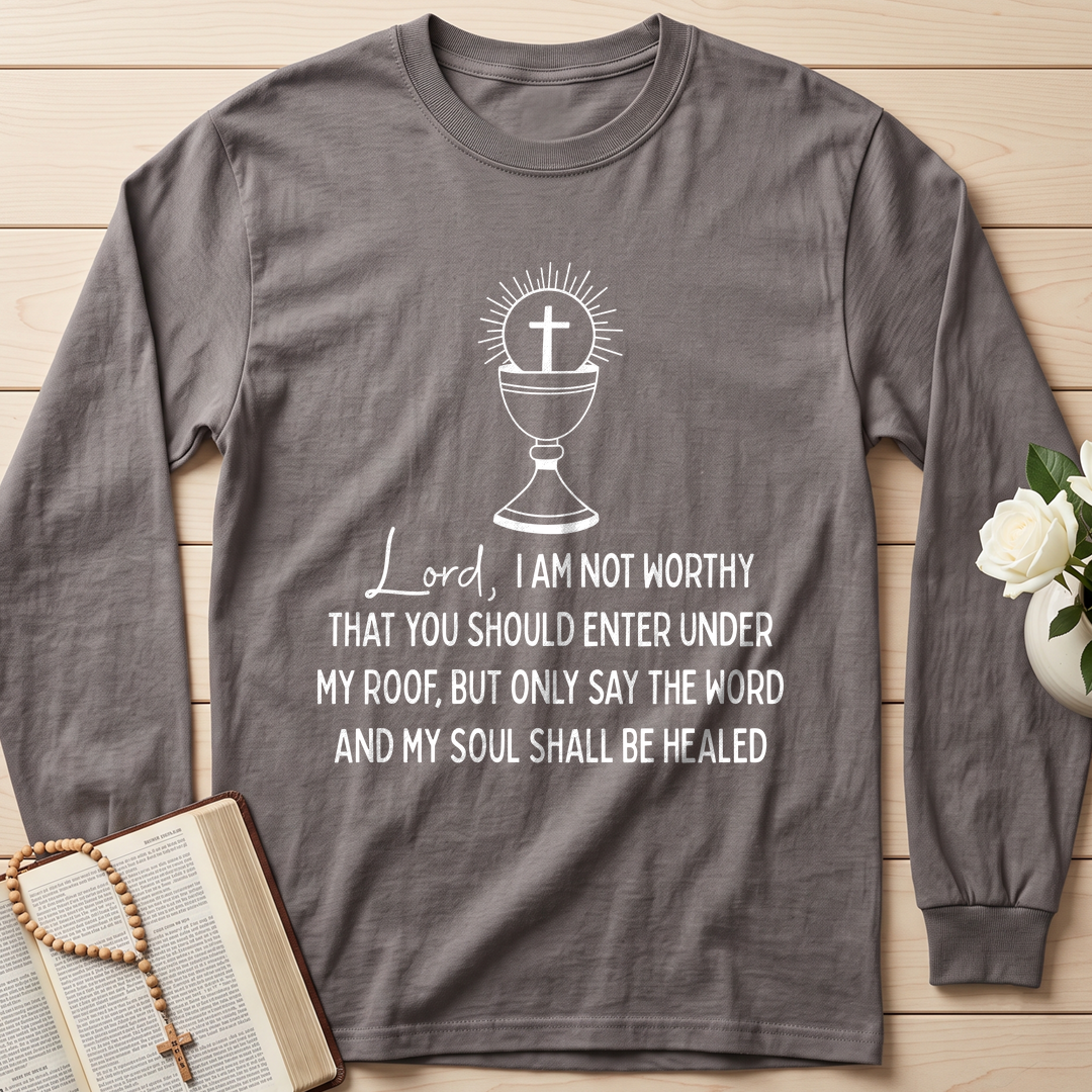 Lord I Am Not Worthy That You Should Enter Under My Roof But Only Say The Word And My Soul Shall Be Healed 01