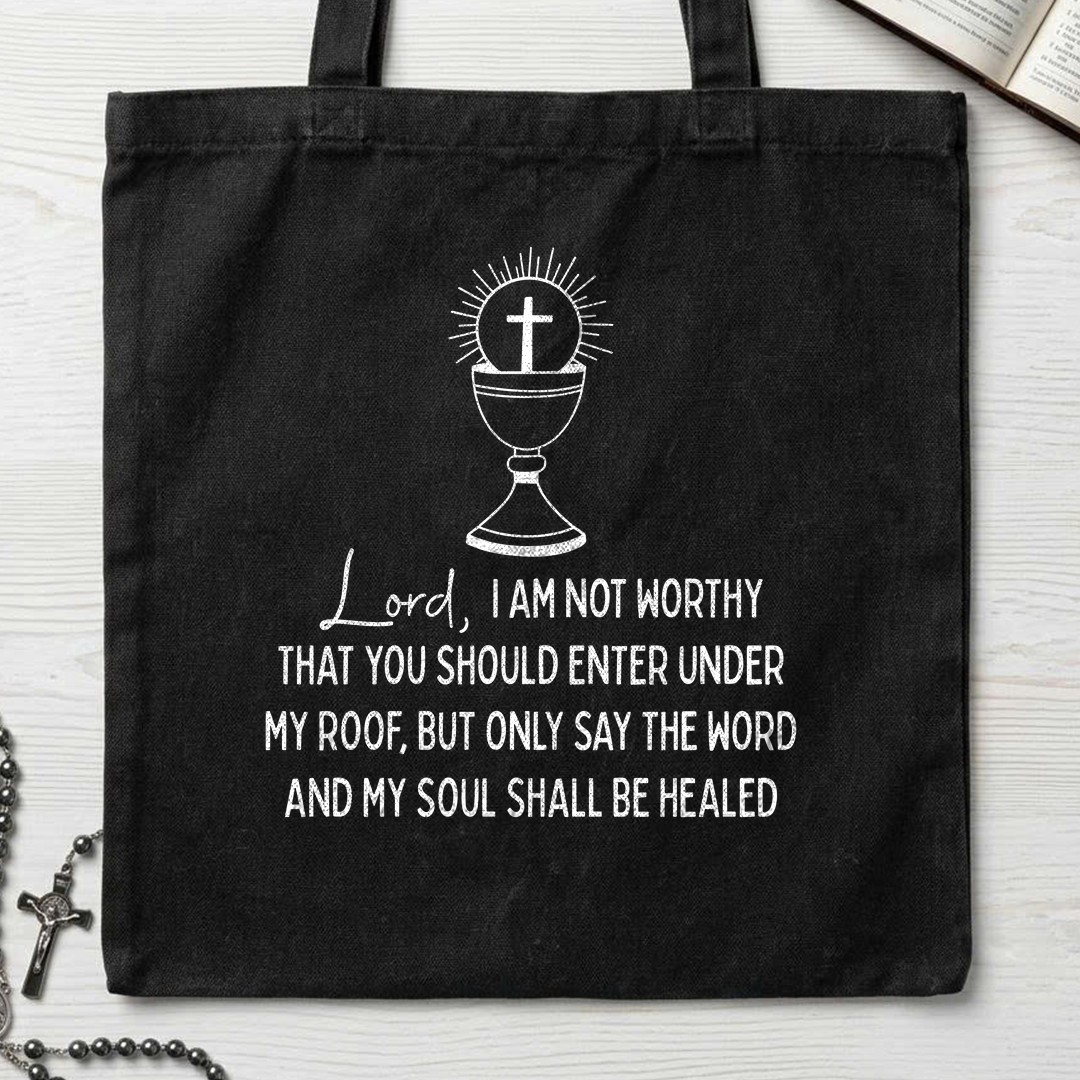 Lord I Am Not Worthy That You Should Enter Under My Roof But Only Say The Word And My Soul Shall Be Healed 01