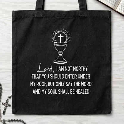 Lord I Am Not Worthy That You Should Enter Under My Roof But Only Say The Word And My Soul Shall Be Healed 01