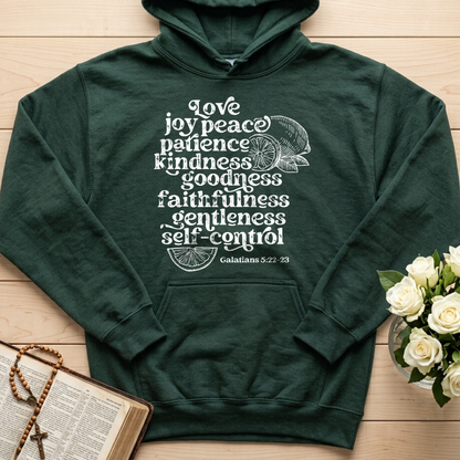 Love Joy Peace Patience Kindness Goodness Faithfulness Gentleness Self-control Galatians 5.22-23 01