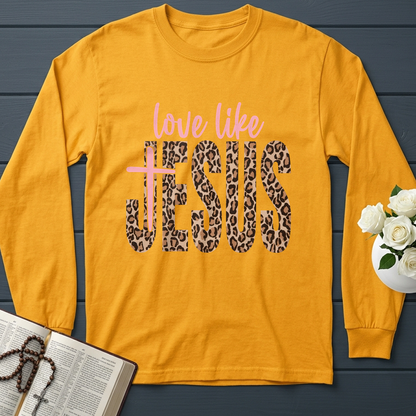 Love Like Jesus 14