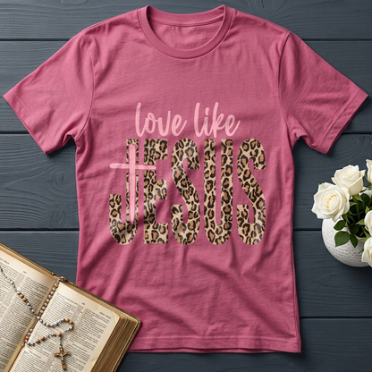 Love Like Jesus 14