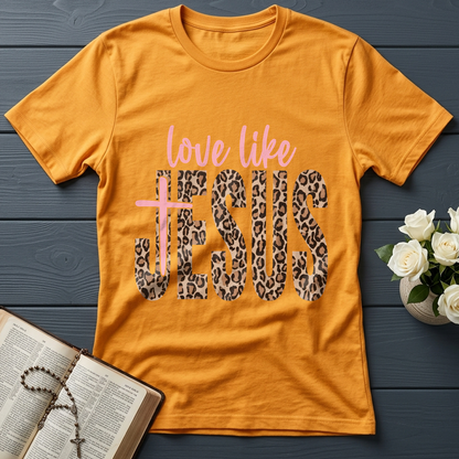Love Like Jesus 14