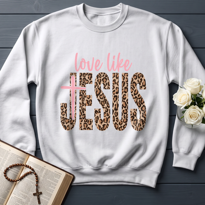 Love Like Jesus 14