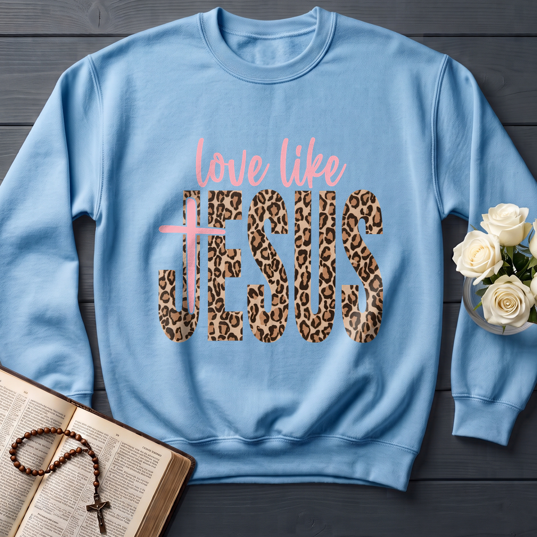 Love Like Jesus 14