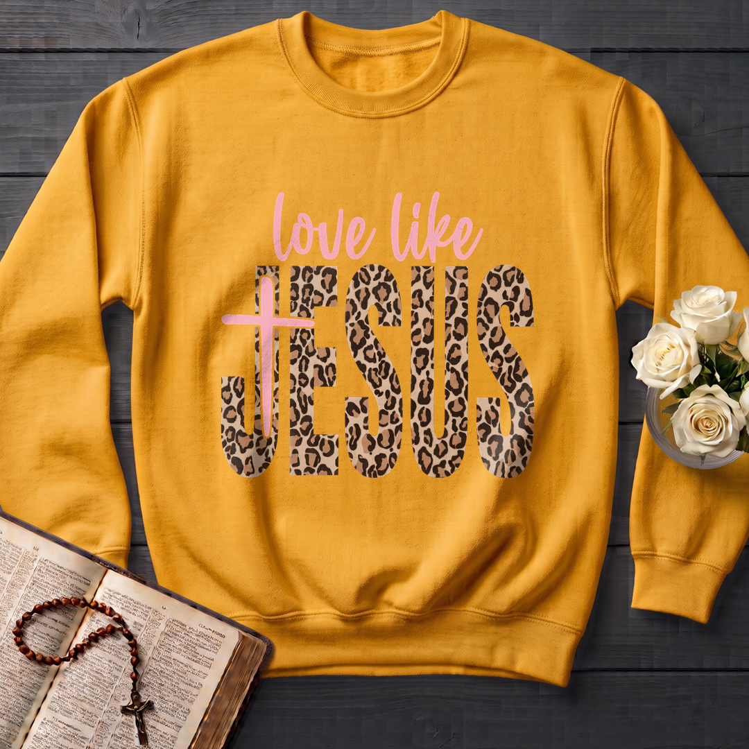 Love Like Jesus 14