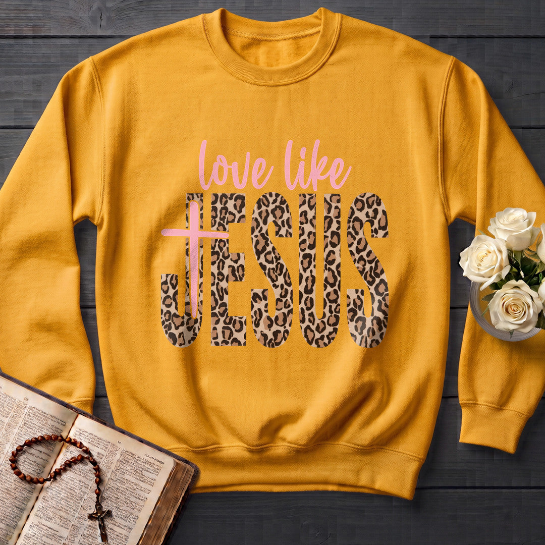 Love Like Jesus 14
