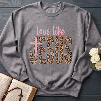 Love Like Jesus 14