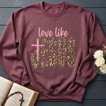 Love Like Jesus 14