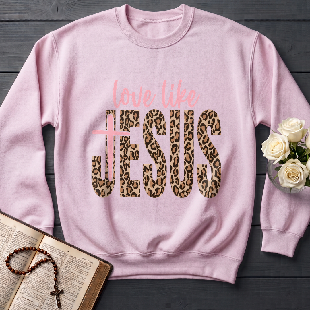 Love Like Jesus 14