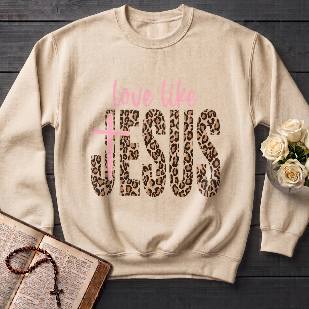 Love Like Jesus 14